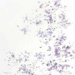 ...y entonces las jacarandas...
